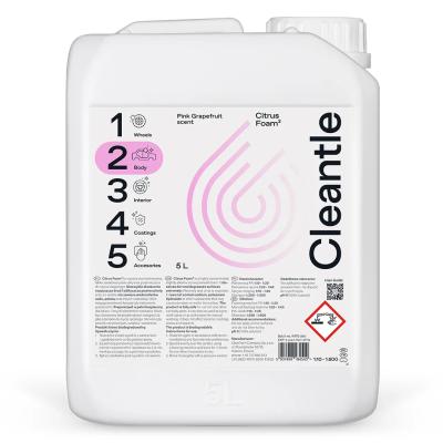 Cleantle Citrus Foam 2 5L –...